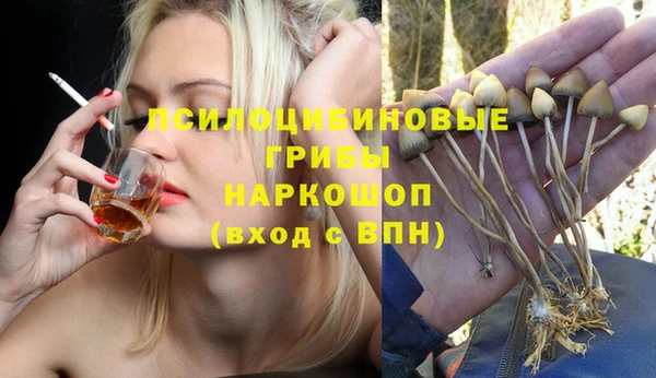 прущие крисы Балахна